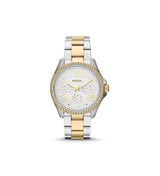 Reloj Fossil Cecile para mujer AM4543