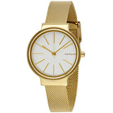 Reloj Skagen Ancher para mujer SKW2477