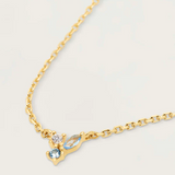 Collar Midnight PdePaola CO01-176-U