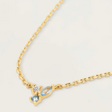 Collar Midnight PdePaola CO01-176-U