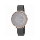 Reloj SKAGEN Karolina SKW2689