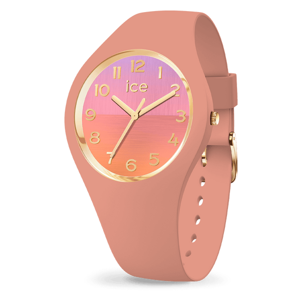 Reloj ICE WATCH horizon 021355