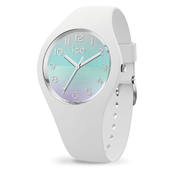 Reloj ICE WATCH 021356