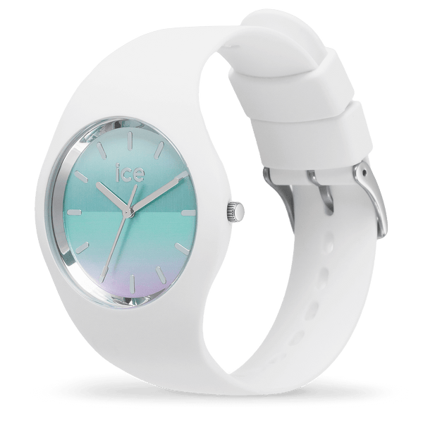 Reloj ICE WATCH 021357