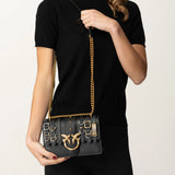 Bolso Pinko 103335 A26K Z99A