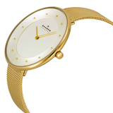 Reloj  Skagen SKW2141 Gitter de mujer de malla dorada con esfera plateada