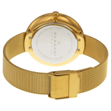 Reloj  Skagen SKW2141 Gitter de mujer de malla dorada con esfera plateada