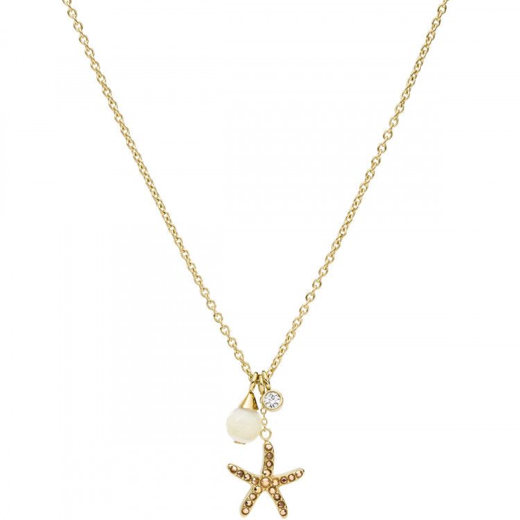 Collar Fossil JF03764710
