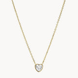 Collar Fossil Sutton JF03937710