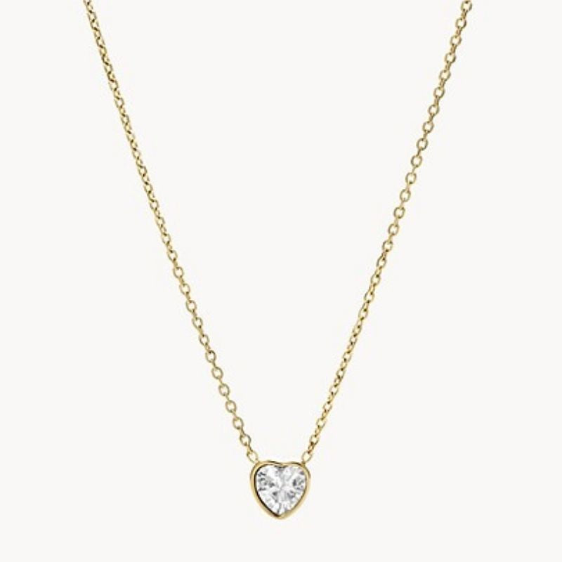 Collar Fossil Sutton JF03937710
